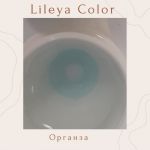 Lileya Color 1шт