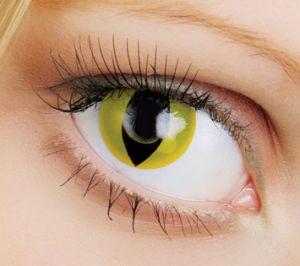 Fusion Crazy Yellow cat (Котяче око жовте) ― всі питання +380503005405 Viber Telegram