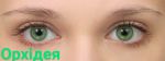 Lileya Color 1шт