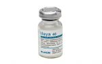 Lileya 40