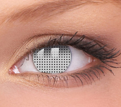 Fusion Crazy WHITE-SCREEN ― всі питання +380503005405 Viber Telegram
